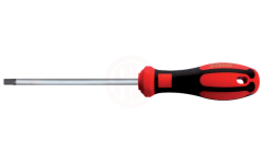 Ceta Form C-PLUS Delikli TORX Uçlu Tornavida - T25 x 100 mm / Kartlı